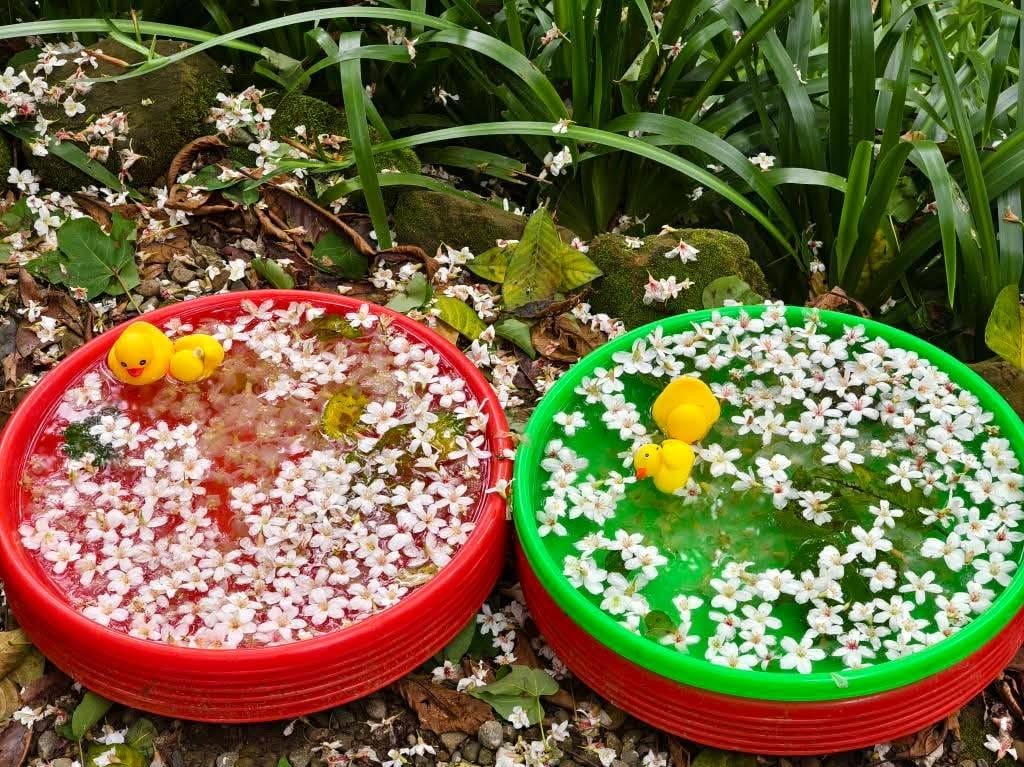 大艽芎古道｜桃園大溪賞桐花步道推薦，綠意盎然的石階古道