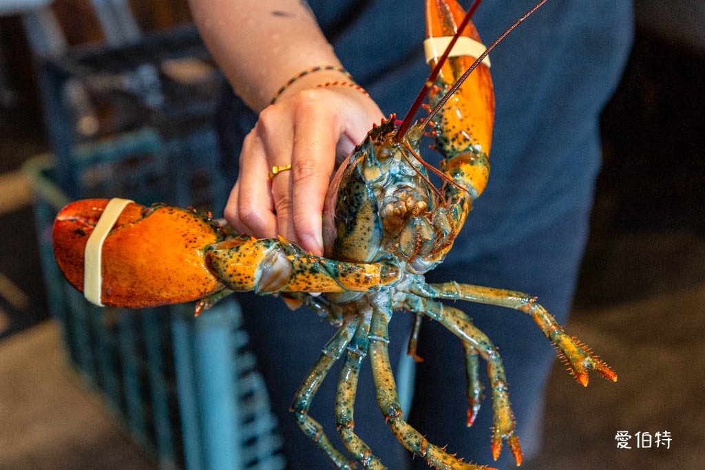 桃園海鮮火鍋推薦｜派大鮮精緻鍋物，現撈現殺龍虎石斑，免費停車 @愛伯特