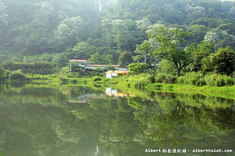 桃園賞油桐花推薦景點|大溪十一指古道,大溪老街10分鐘 - 第30張圖 桃園賞油桐花推薦景點|大溪十一指古道,大溪老街10分鐘