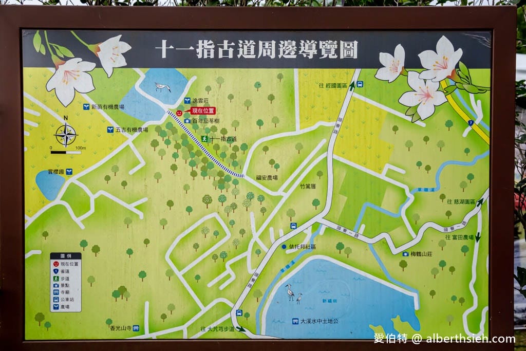 桃園賞油桐花推薦景點|大溪十一指古道,大溪老街10分鐘 - 第2張圖 桃園賞油桐花推薦景點|大溪十一指古道,大溪老街10分鐘