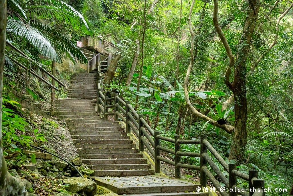 復興舊水圳古道｜竹林步道，串連小烏來天空步道與義興吊橋