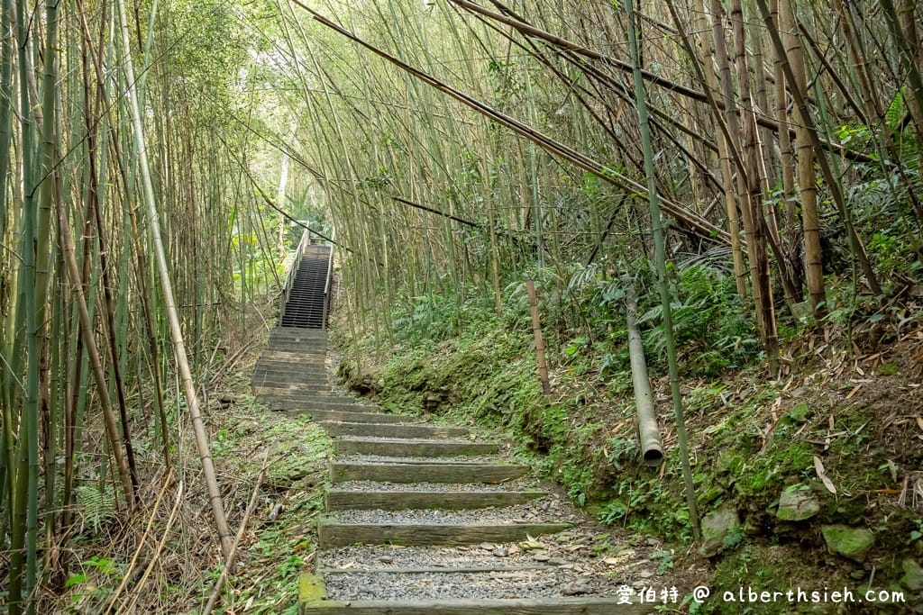 復興舊水圳古道｜竹林步道，串連小烏來天空步道與義興吊橋