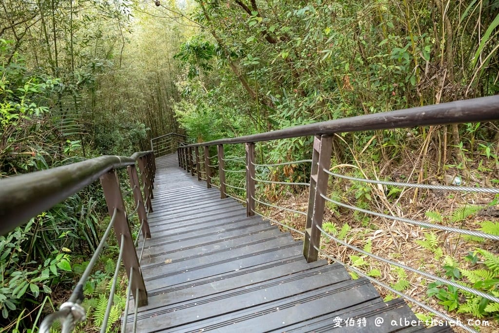 復興舊水圳古道｜竹林步道，串連小烏來天空步道與義興吊橋