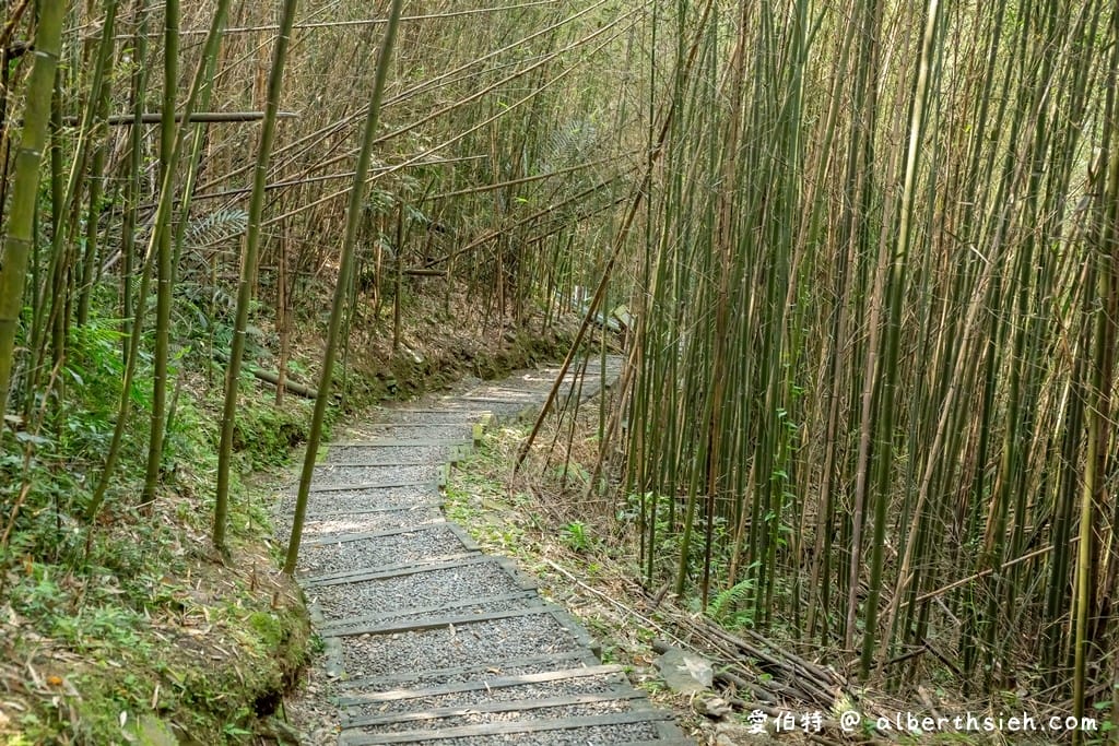 復興舊水圳古道｜竹林步道，串連小烏來天空步道與義興吊橋