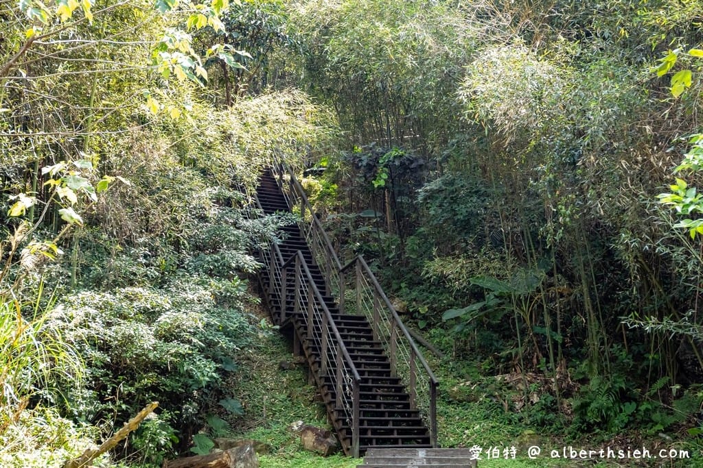 復興舊水圳古道｜竹林步道，串連小烏來天空步道與義興吊橋