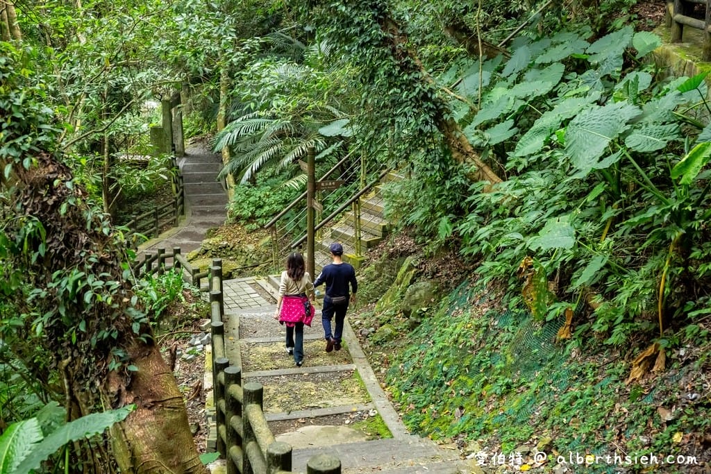 復興舊水圳古道｜竹林步道，串連小烏來天空步道與義興吊橋
