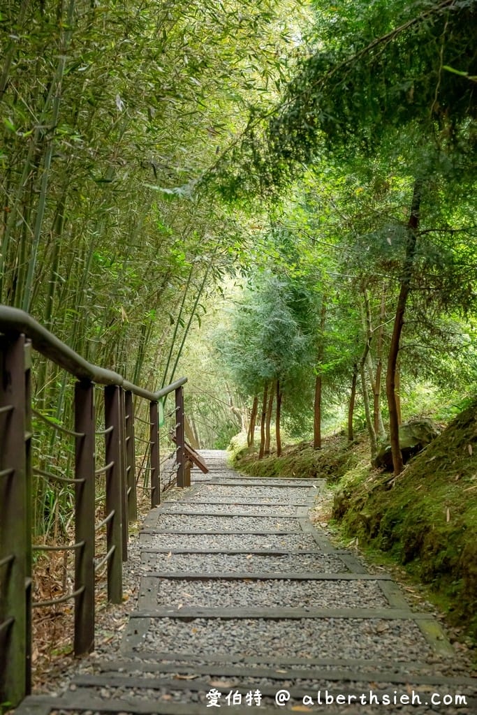 復興舊水圳古道｜竹林步道，串連小烏來天空步道與義興吊橋