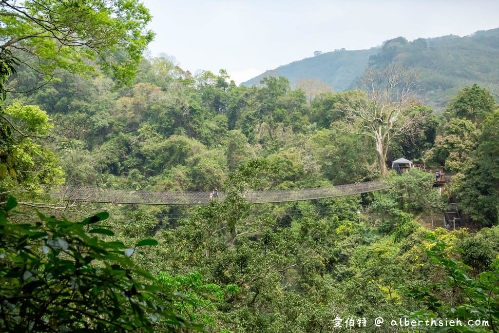 復興舊水圳古道｜竹林步道，串連小烏來天空步道與義興吊橋