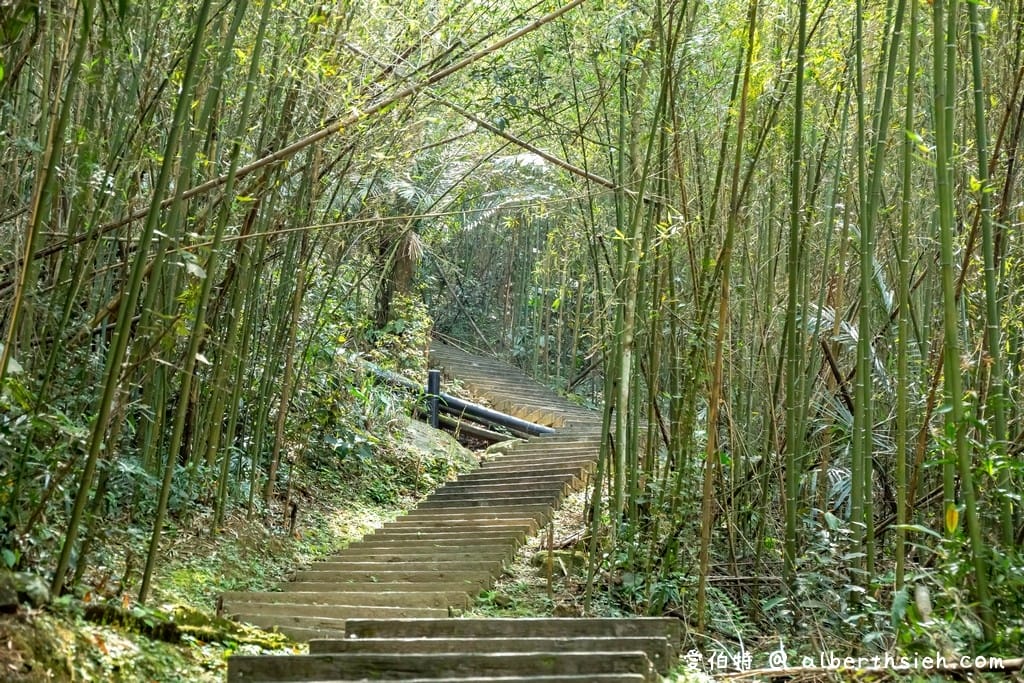 復興舊水圳古道｜竹林步道，串連小烏來天空步道與義興吊橋