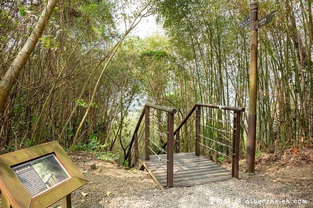 復興舊水圳古道｜竹林步道，串連小烏來天空步道與義興吊橋