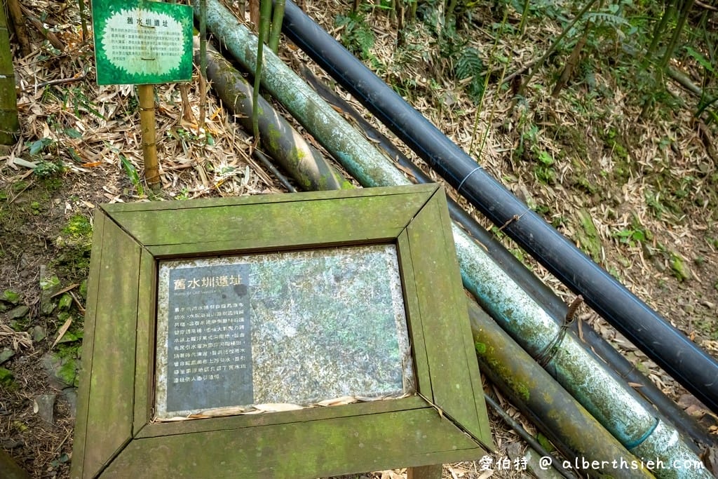 復興舊水圳古道｜竹林步道，串連小烏來天空步道與義興吊橋