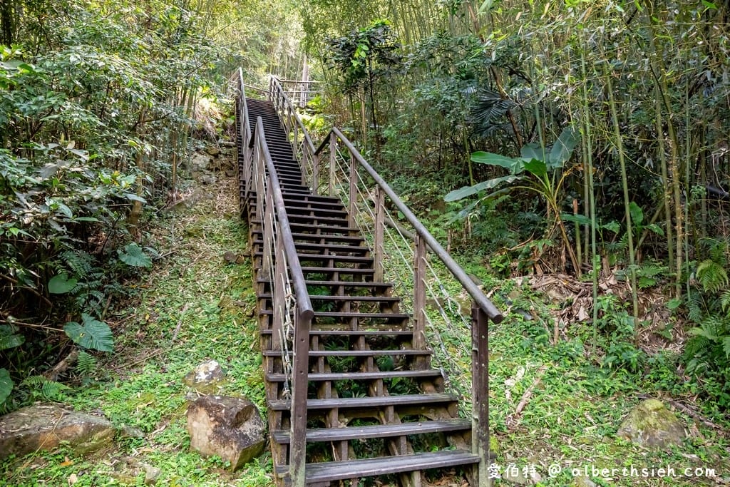 復興舊水圳古道｜竹林步道，串連小烏來天空步道與義興吊橋
