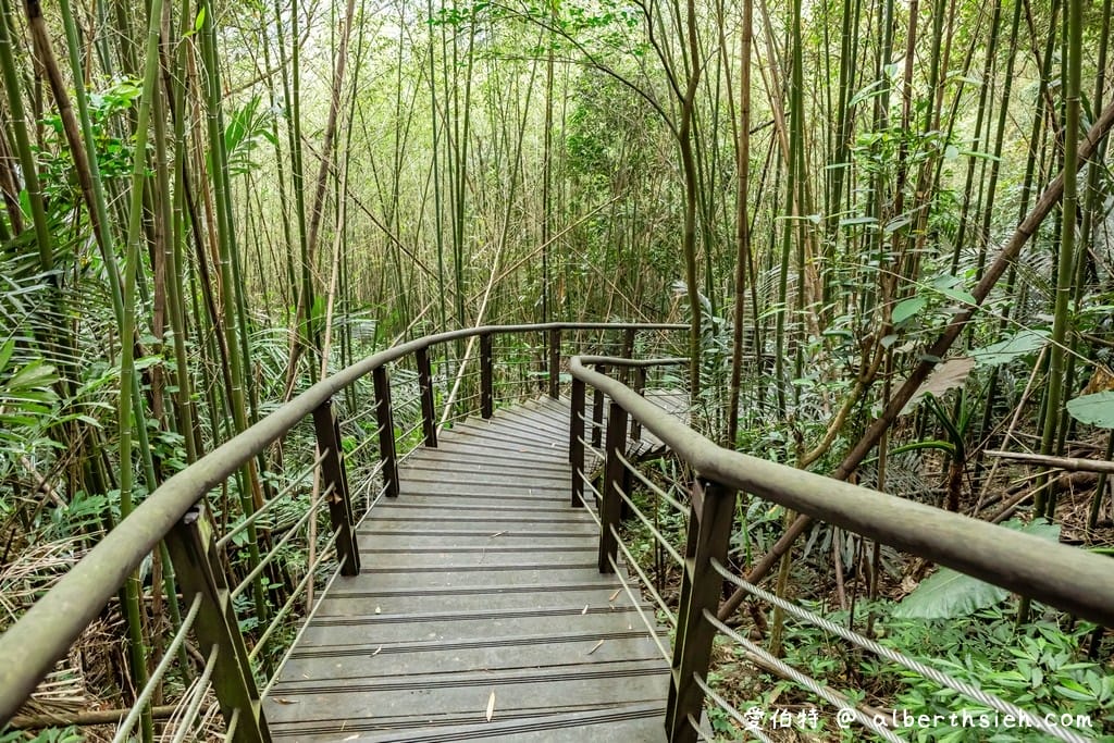 復興舊水圳古道｜竹林步道，串連小烏來天空步道與義興吊橋