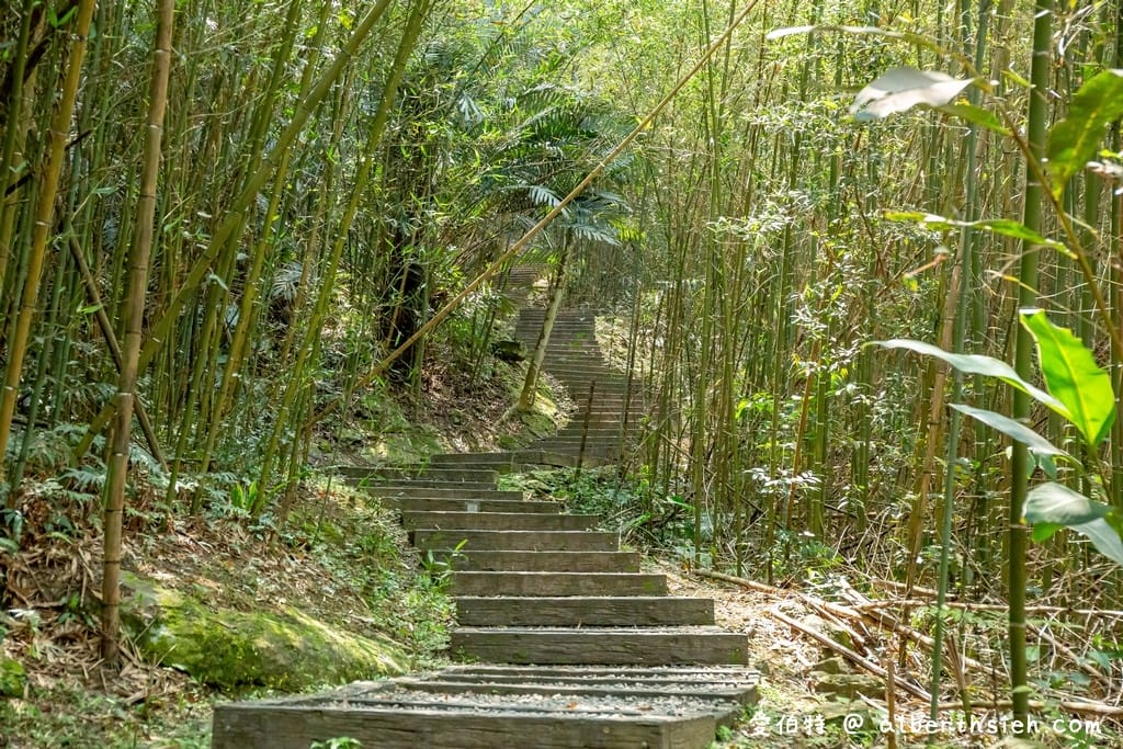 復興舊水圳古道｜竹林步道，串連小烏來天空步道與義興吊橋