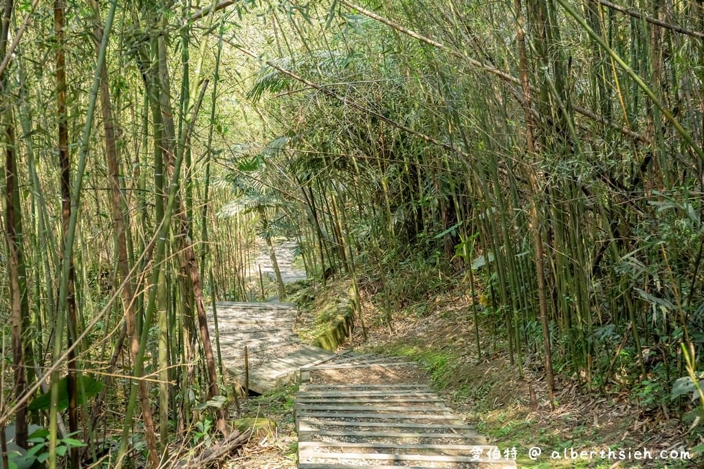復興舊水圳古道｜竹林步道，串連小烏來天空步道與義興吊橋
