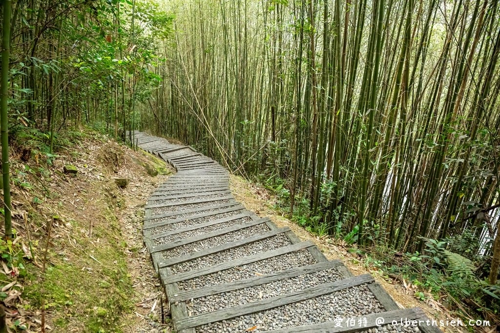 復興舊水圳古道｜竹林步道，串連小烏來天空步道與義興吊橋