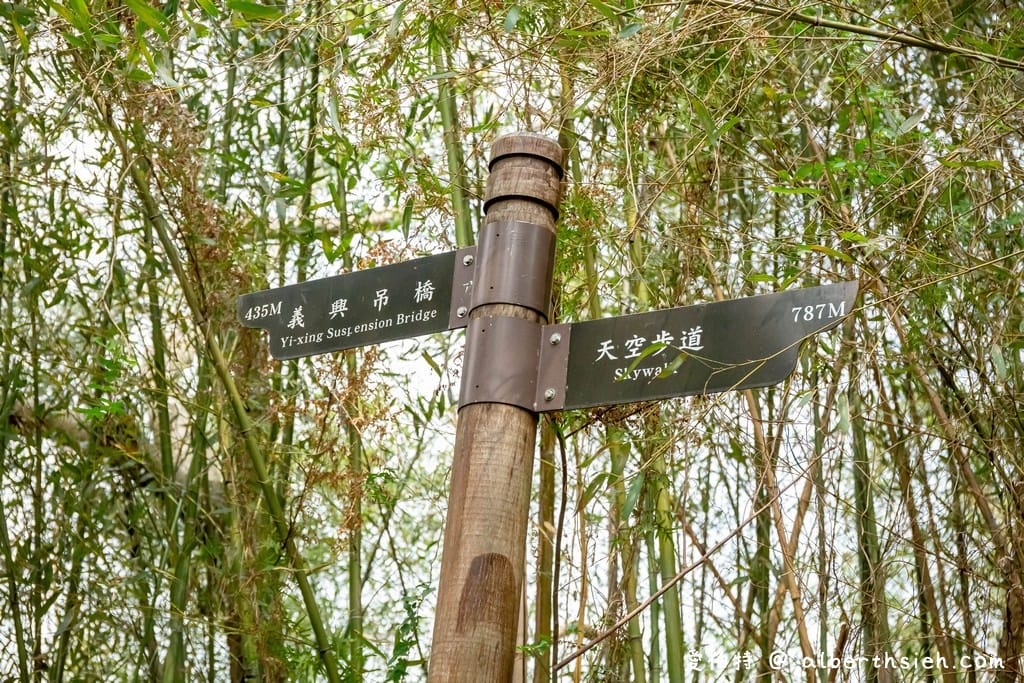復興舊水圳古道｜竹林步道，串連小烏來天空步道與義興吊橋