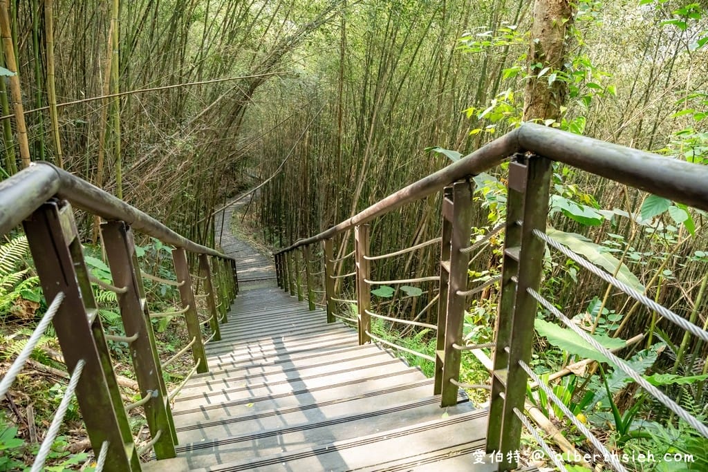復興舊水圳古道｜竹林步道，串連小烏來天空步道與義興吊橋