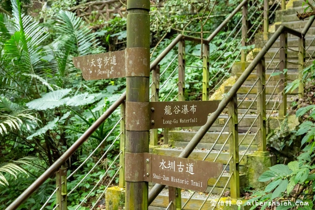 復興舊水圳古道｜竹林步道，串連小烏來天空步道與義興吊橋