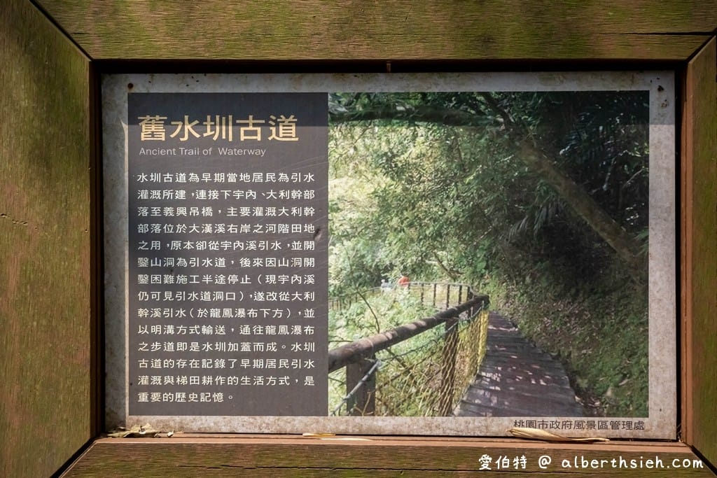 復興舊水圳古道｜竹林步道，串連小烏來天空步道與義興吊橋