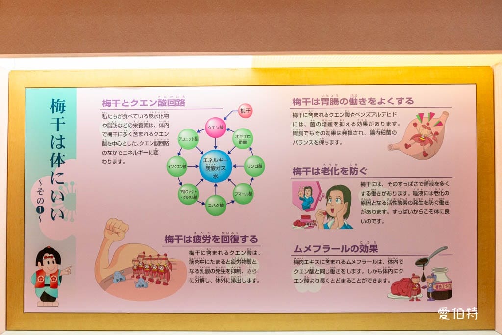 和歌山景點推薦|紀州梅干館,日本第一的產梅地,梅酒DIY - 第9張圖 和歌山景點推薦|紀州梅干館,日本第一的產梅地,梅酒DIY