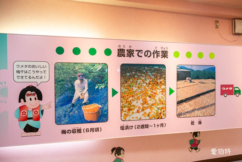 和歌山景點推薦|紀州梅干館,日本第一的產梅地,梅酒DIY - 第6張圖 和歌山景點推薦|紀州梅干館,日本第一的產梅地,梅酒DIY