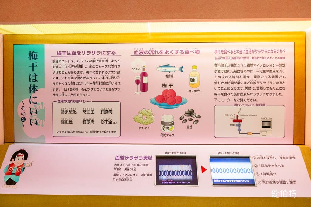 和歌山景點推薦|紀州梅干館,日本第一的產梅地,梅酒DIY - 第10張圖 和歌山景點推薦|紀州梅干館,日本第一的產梅地,梅酒DIY