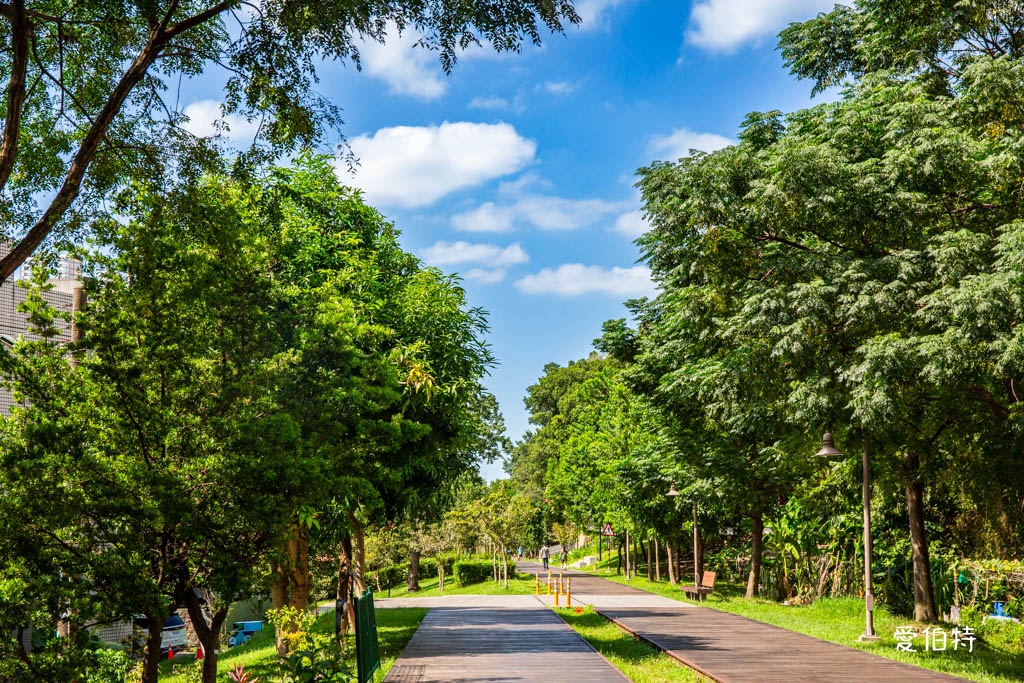 肥美快餐｜桃園寶山街燒臘便當推薦，脆皮燒肉好吃，餐點菜單 @愛伯特