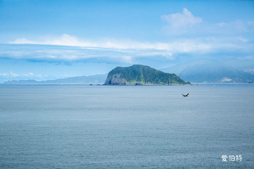 麗星郵輪探索星號｜親子家庭旅遊值得嗎？大阪高知六天五夜行程 @愛伯特