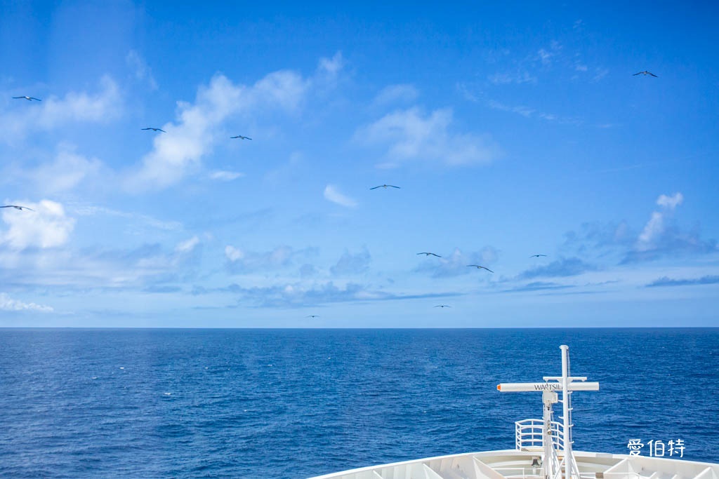 麗星郵輪探索星號｜親子家庭旅遊值得嗎？大阪高知六天五夜行程 @愛伯特