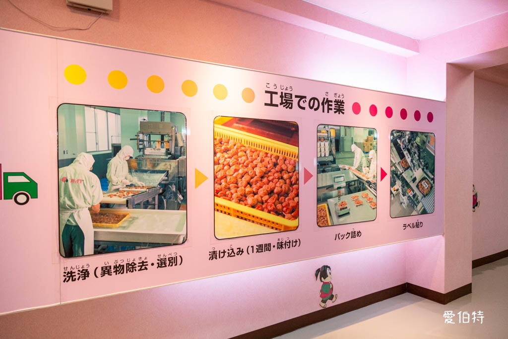 和歌山景點推薦｜紀州梅干館，日本第一的產梅地，梅酒DIY @愛伯特