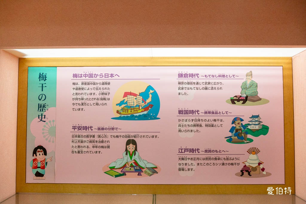 和歌山景點推薦｜紀州梅干館，日本第一的產梅地，梅酒DIY @愛伯特