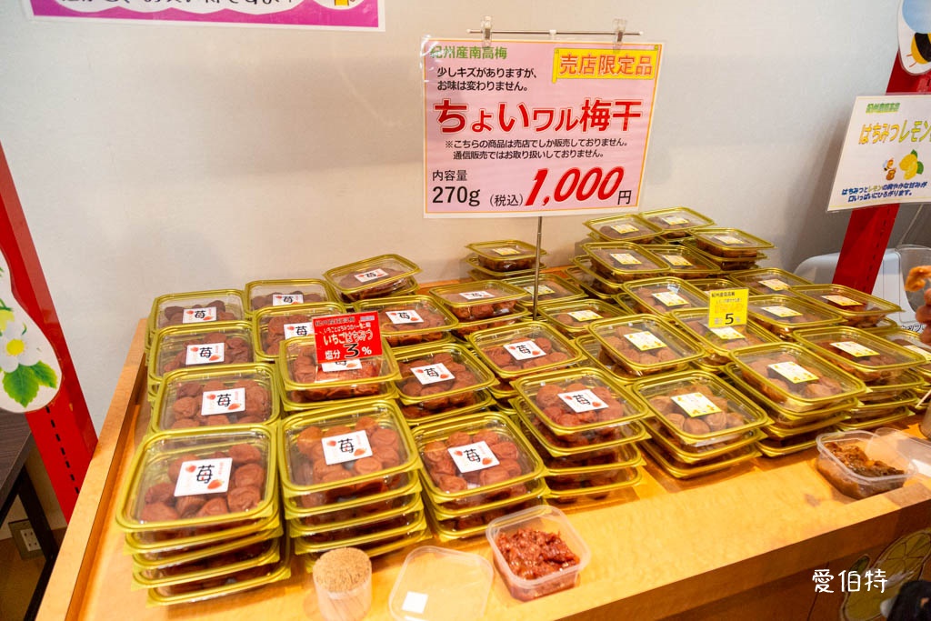 和歌山景點推薦｜紀州梅干館，日本第一的產梅地，梅酒DIY @愛伯特