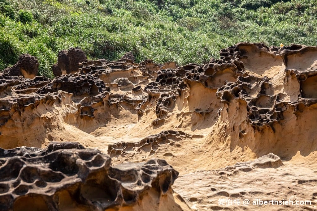 北海岸野柳地質公園｜門票優惠，女王頭10大世界不可思議地景