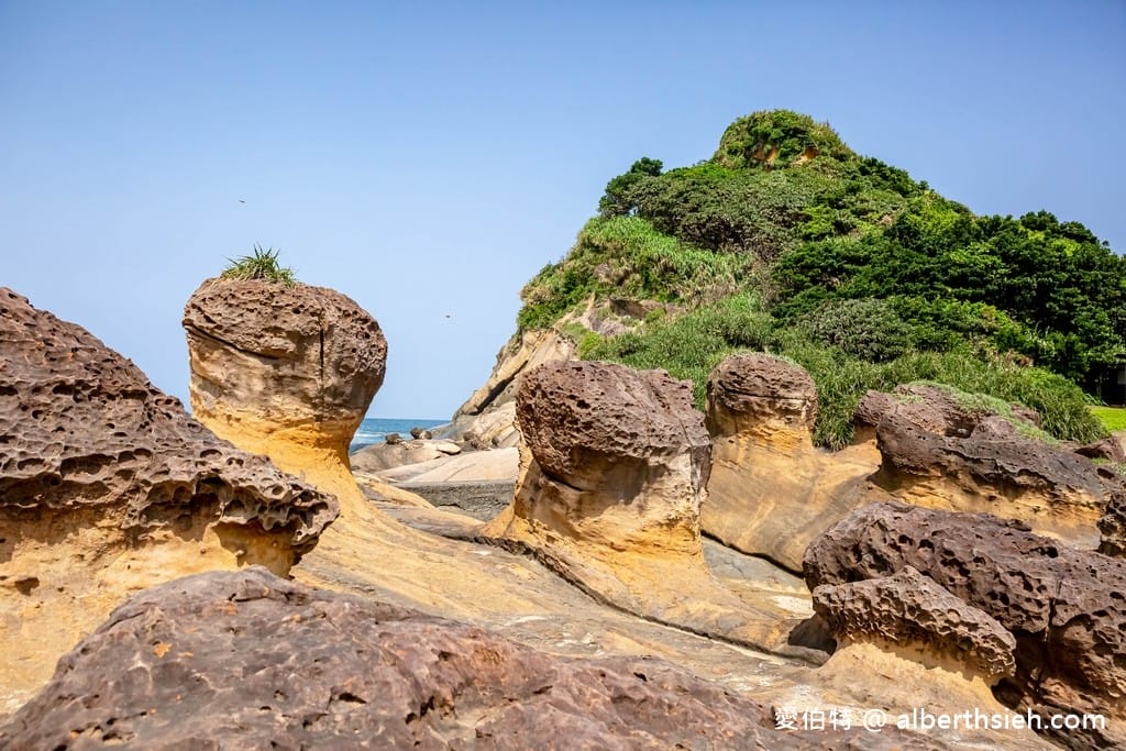 北海岸野柳地質公園｜門票優惠，女王頭10大世界不可思議地景