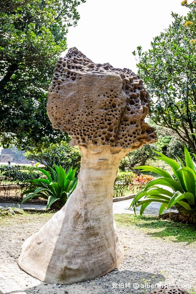 北海岸野柳地質公園｜門票優惠，女王頭10大世界不可思議地景