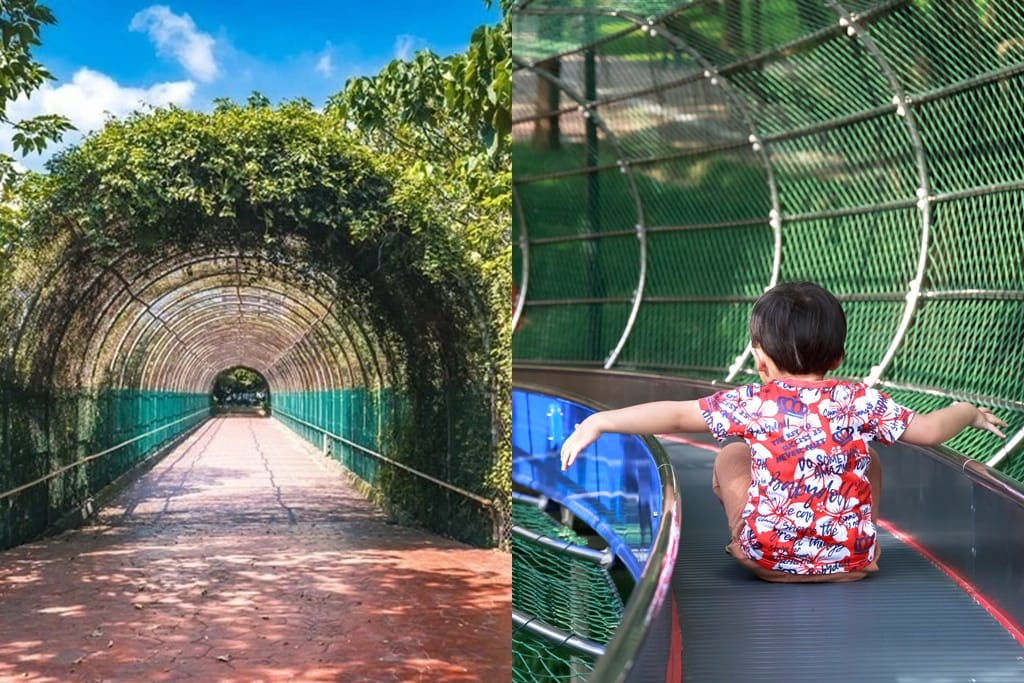 大溪埔頂公園|桃園親子景點,萬坪綠地,橫跨北二高,滾輪溜滑梯 - 第1張圖 大溪埔頂公園|桃園親子景點,萬坪綠地,橫跨北二高,滾輪溜滑梯