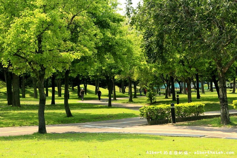 大溪埔頂公園|桃園親子景點,萬坪綠地,橫跨北二高,滾輪溜滑梯 - 第11張圖 大溪埔頂公園|桃園親子景點,萬坪綠地,橫跨北二高,滾輪溜滑梯