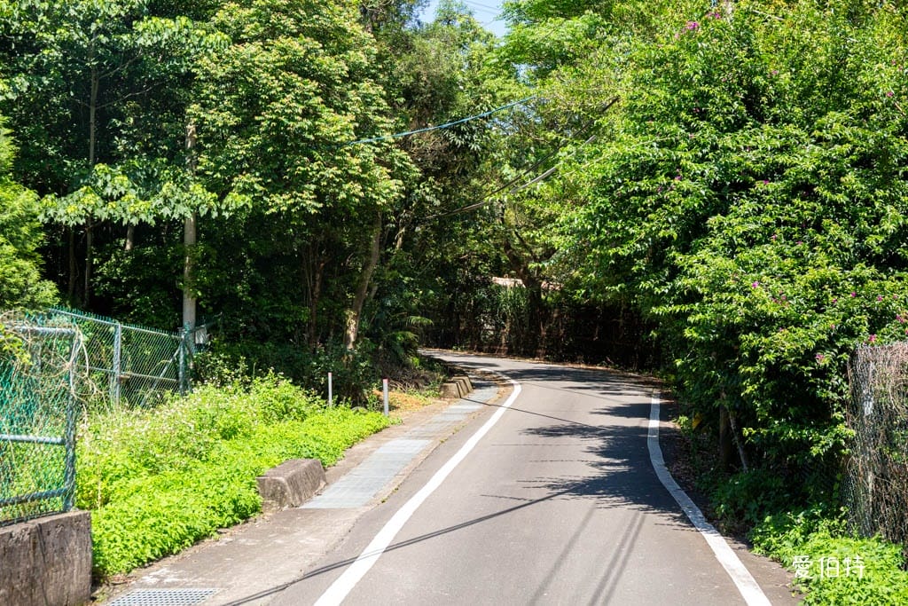 穧粑崠咖啡農場｜桃園龍潭景點，600坪繡球花盛開免費開放中