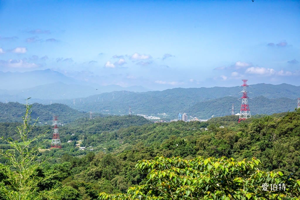 穧粑崠咖啡農場｜桃園龍潭景點，600坪繡球花盛開免費開放中