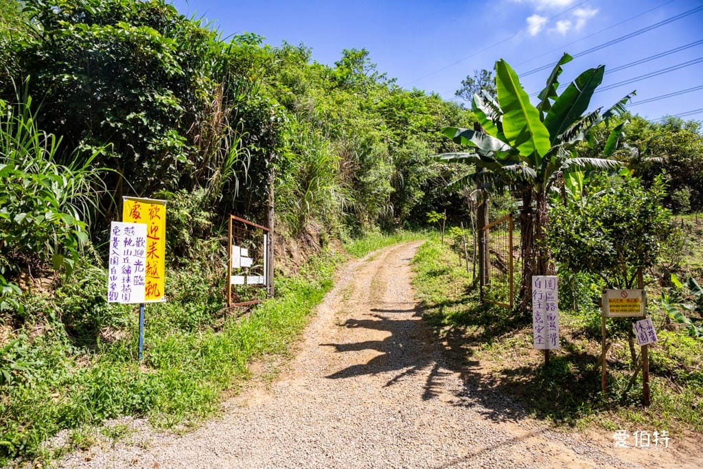 穧粑崠咖啡農場｜桃園龍潭景點，600坪繡球花盛開免費開放中