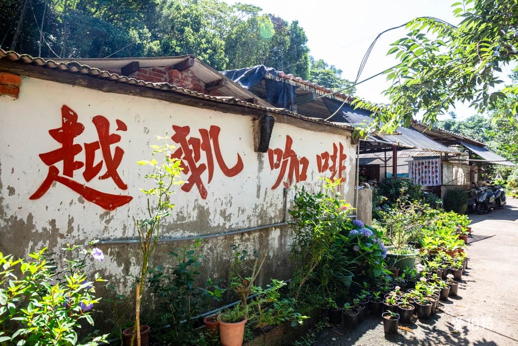 穧粑崠咖啡農場｜桃園龍潭景點，600坪繡球花盛開免費開放中