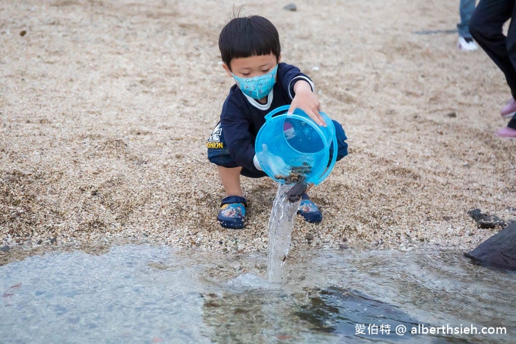 北海岸石門洞|貝殼沙灘玩沙戲水、抓螃蟹、撈魚 - 第22張圖 北海岸石門洞|貝殼沙灘玩沙戲水、抓螃蟹、撈魚