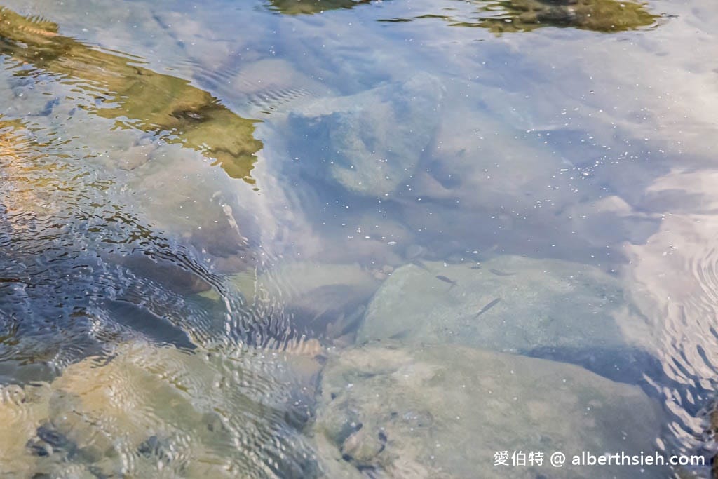 新北東北角親子玩水｜瑞芳蝙蝠洞公園，撈魚抓螃蟹、浮潛勝地