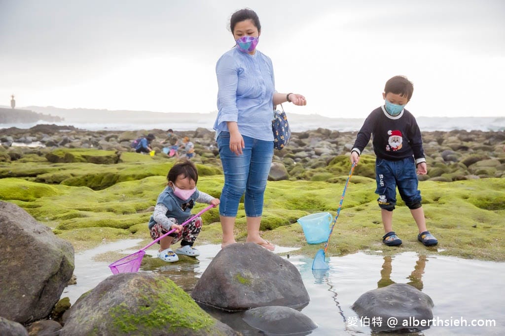 北海岸石門洞|貝殼沙灘玩沙戲水、抓螃蟹、撈魚 - 第10張圖 北海岸石門洞|貝殼沙灘玩沙戲水、抓螃蟹、撈魚