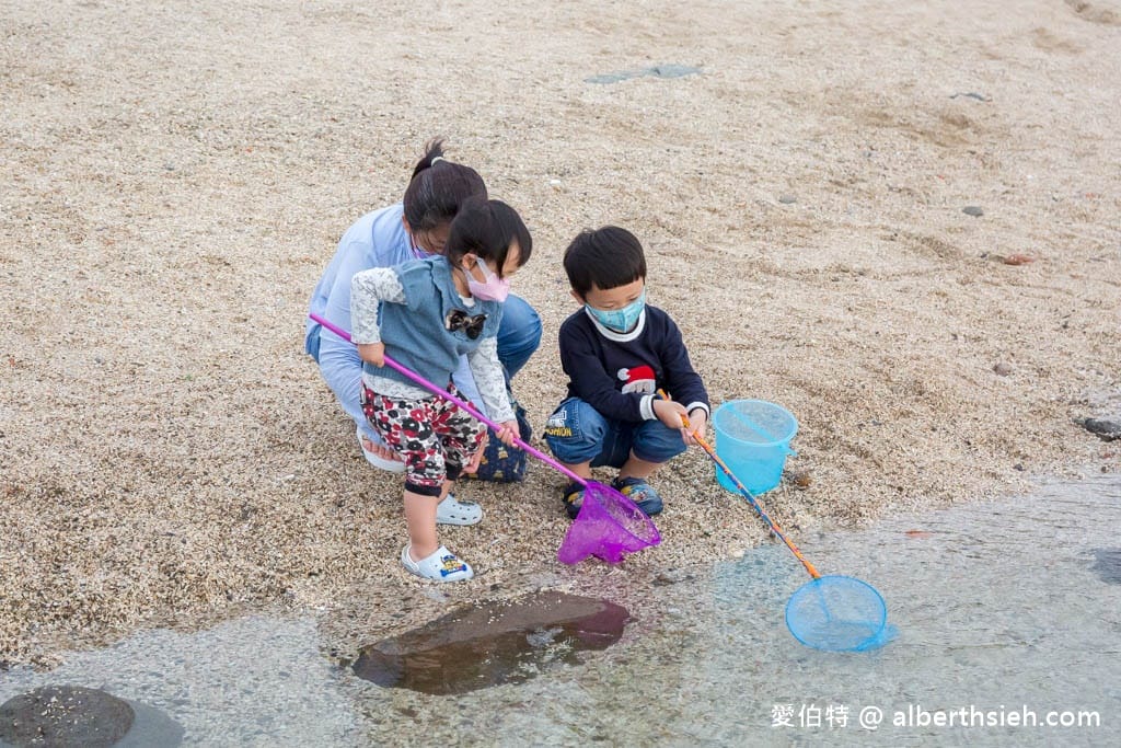 北海岸石門洞|貝殼沙灘玩沙戲水、抓螃蟹、撈魚 - 第9張圖 北海岸石門洞|貝殼沙灘玩沙戲水、抓螃蟹、撈魚