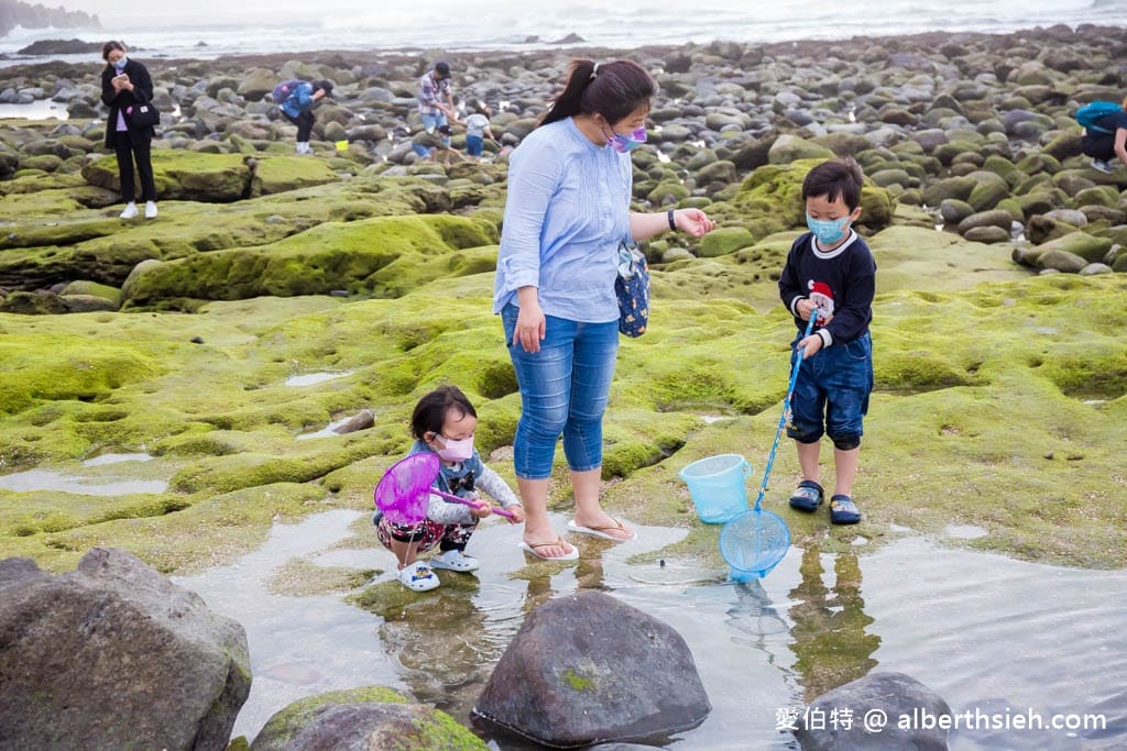 北海岸石門洞|貝殼沙灘玩沙戲水、抓螃蟹、撈魚 - 第11張圖 北海岸石門洞|貝殼沙灘玩沙戲水、抓螃蟹、撈魚