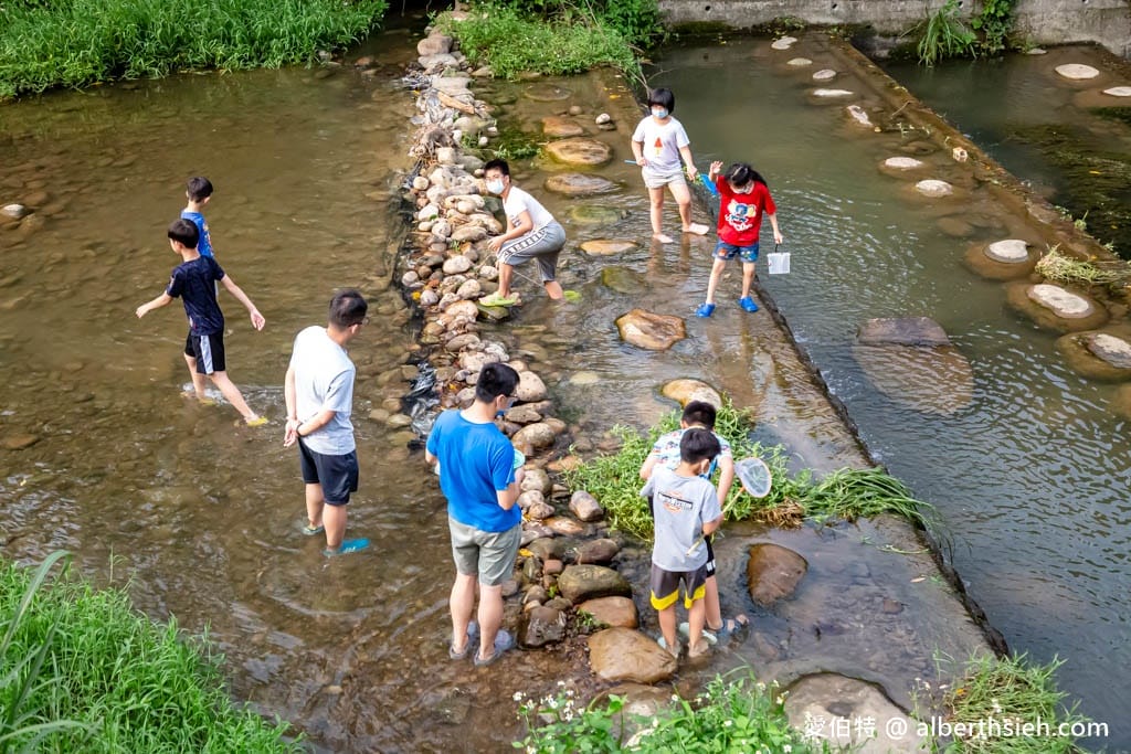 桃園龍潭玩水景點|階梯式千層瀑布,免費戲水秘境,近三坑公園 - 第9張圖 桃園龍潭玩水景點|階梯式千層瀑布,免費戲水秘境,近三坑公園