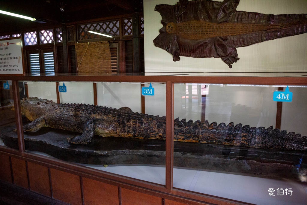 九州景點推薦|別府七大地獄溫泉巡禮,交通,套票優惠費用 @愛伯特