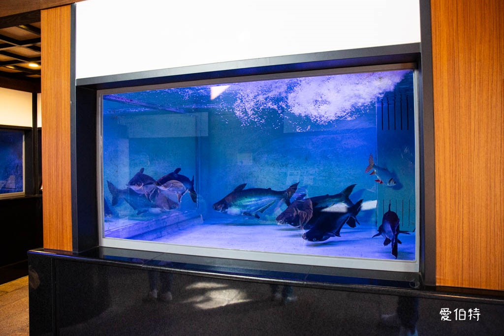 九州景點推薦|別府七大地獄溫泉巡禮,交通,套票優惠費用 @愛伯特